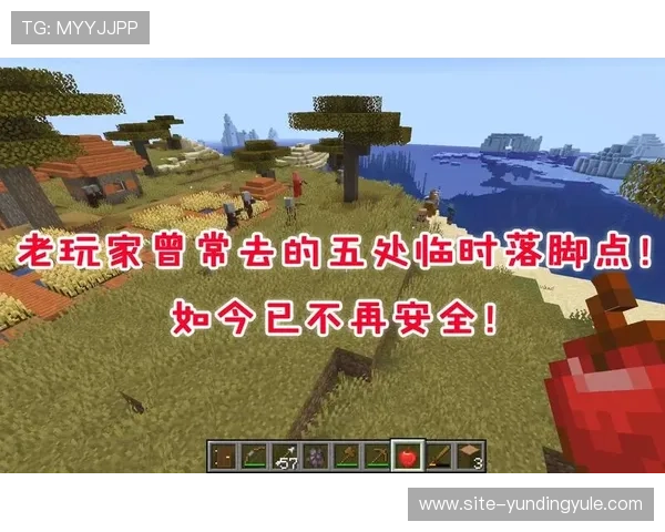 云顶集团游戏登录网站安全验证措施，保障玩家账号信息安全